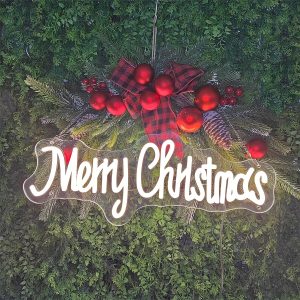 1 pc Merry Christmas Wall Neon Decoration, Dimmable LED Christmas Ambiance Wall Decoration Neon Sign, perfect for Christmas parties, bedrooms, birthday parties, pubs, shops, games rooms, clubs, rooms, friends party wall decorations, as a friend's family birthday, Christmas gift preferred, USB powered light up sign hanging unit, 5V USB power supply