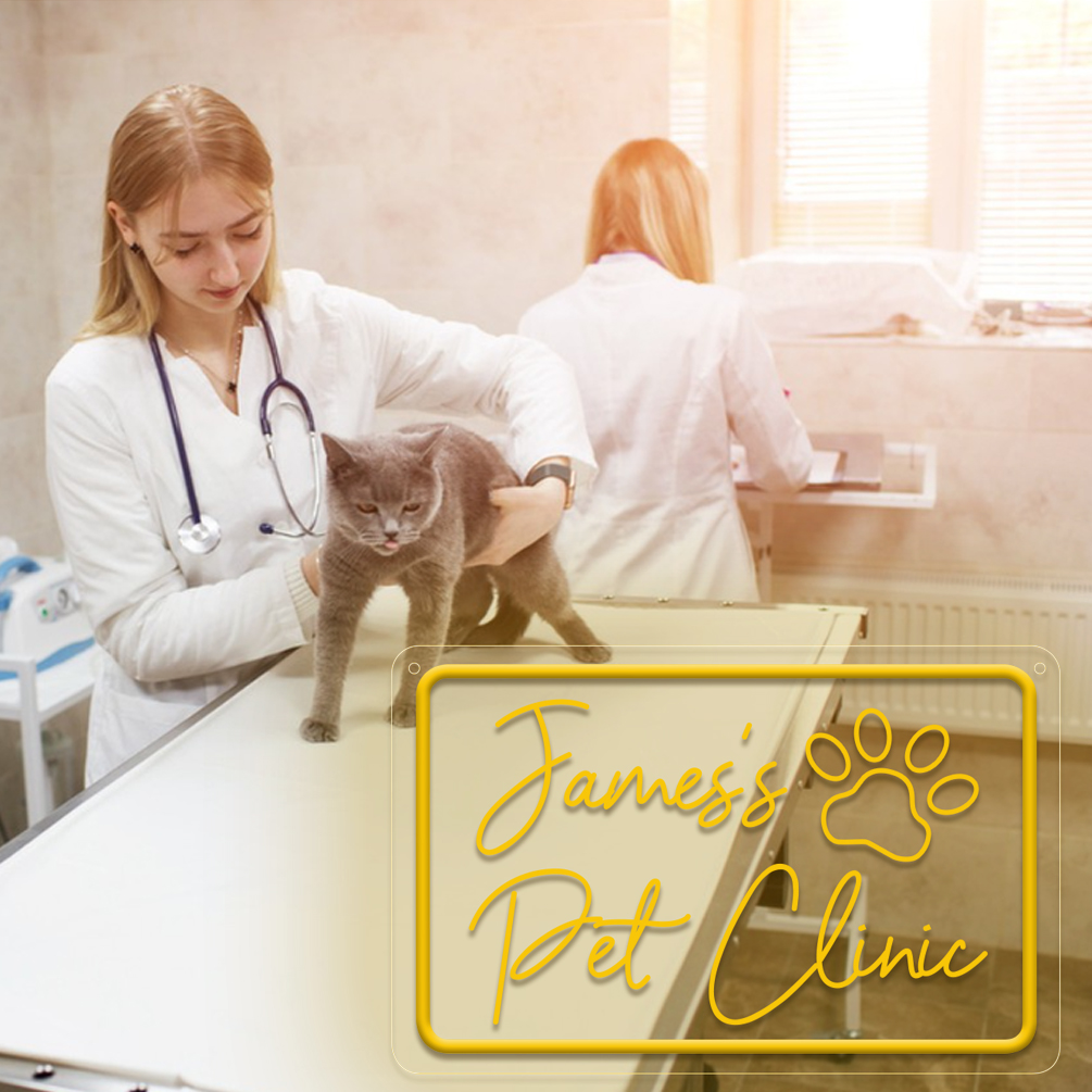 Custom animal paw and name neon sign with 3D engraving, personalised LED neon pet shop, unique ideal gift for weddings, events, kids' rooms, bedrooms, living rooms and home decor, birthdays, weddings, graduations, father's day, children's day, housewarming and more! - 图片 5